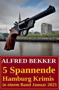 5 Spannende Hamburg Krimis in einem Band Januar 2025