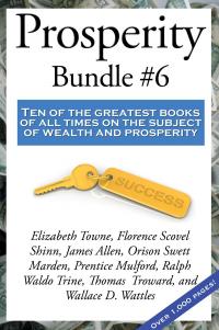 Prosperity Bundle #6