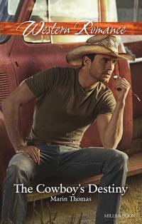 The Cowboy's Destiny