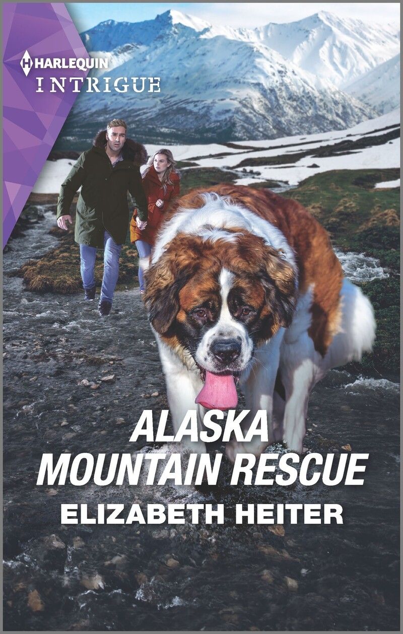 Alaska Mountain Rescue