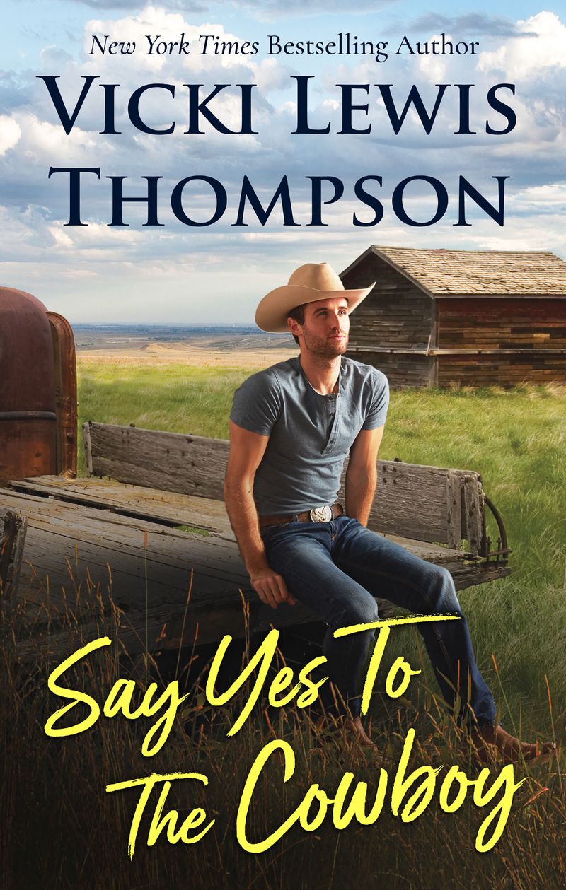 Say Yes To The Cowboy