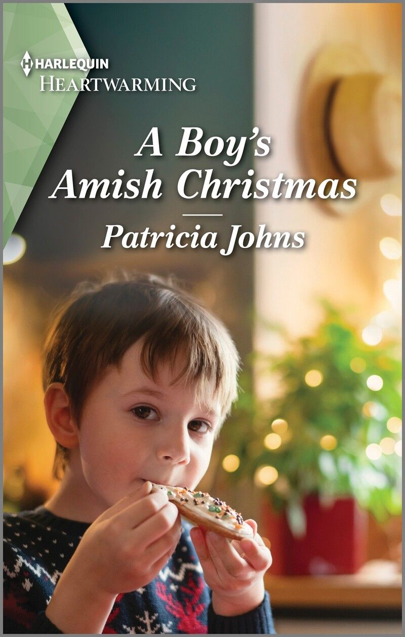 A Boy's Amish Christmas