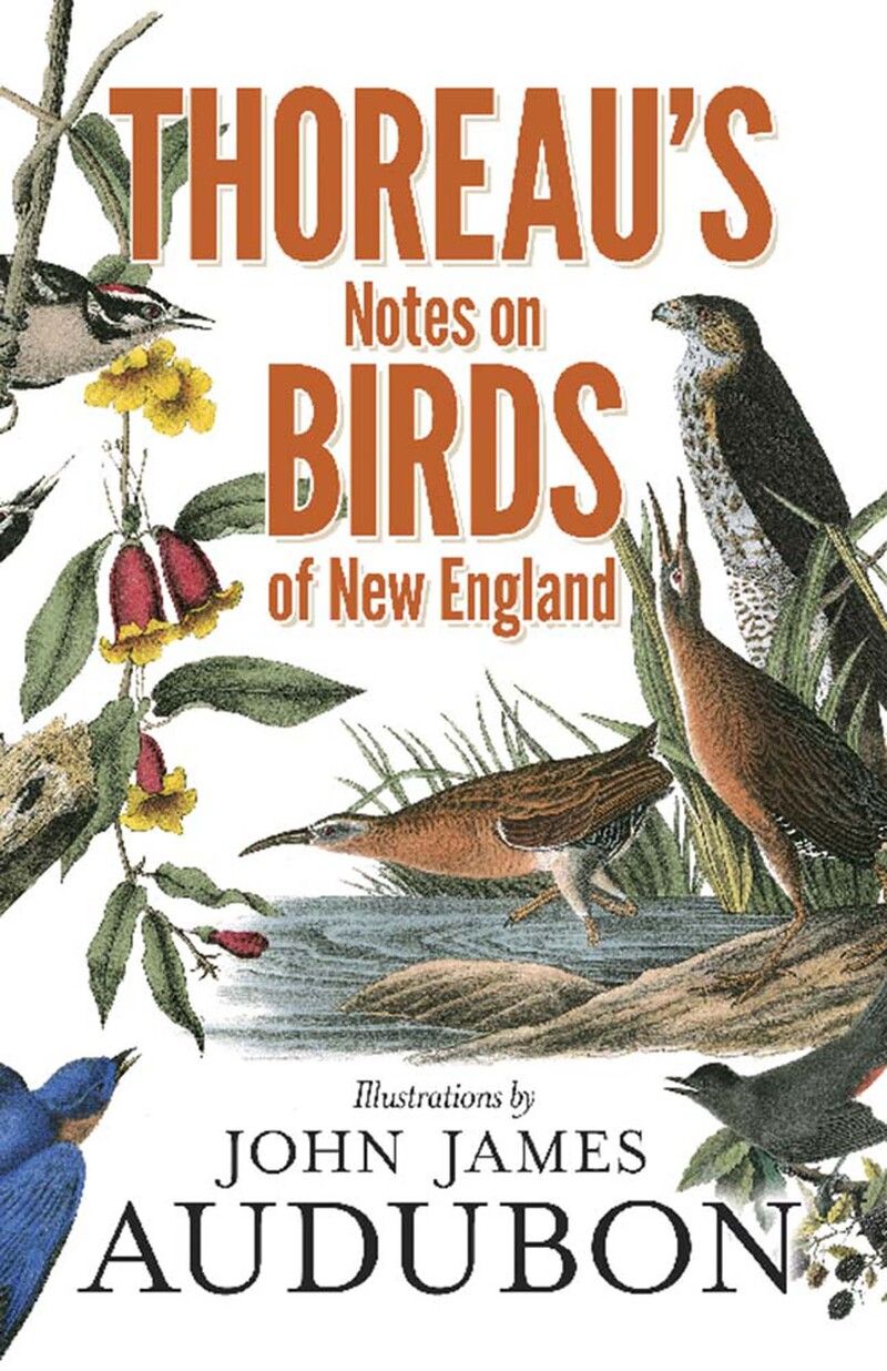 Thoreau's Notes on Birds of New England