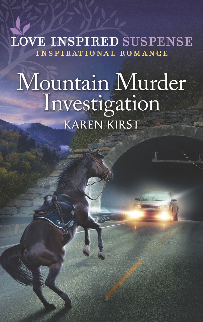 Mountain Murder Investigation