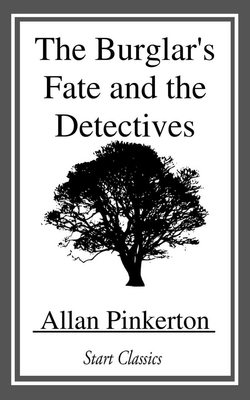 The Burglar's Fate and the Detectives