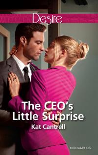 The Ceo's Little Surprise