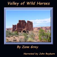 Valley of Wild Horses