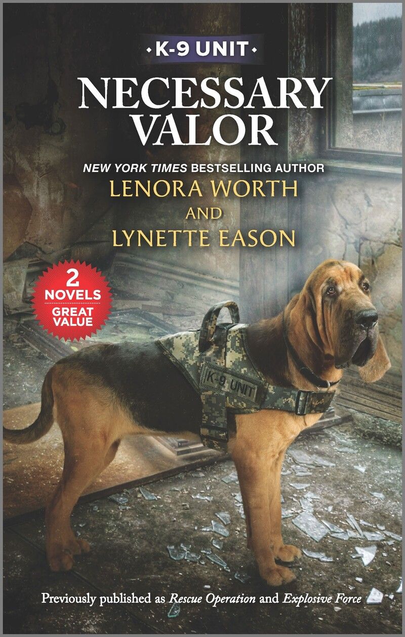 Necessary Valor