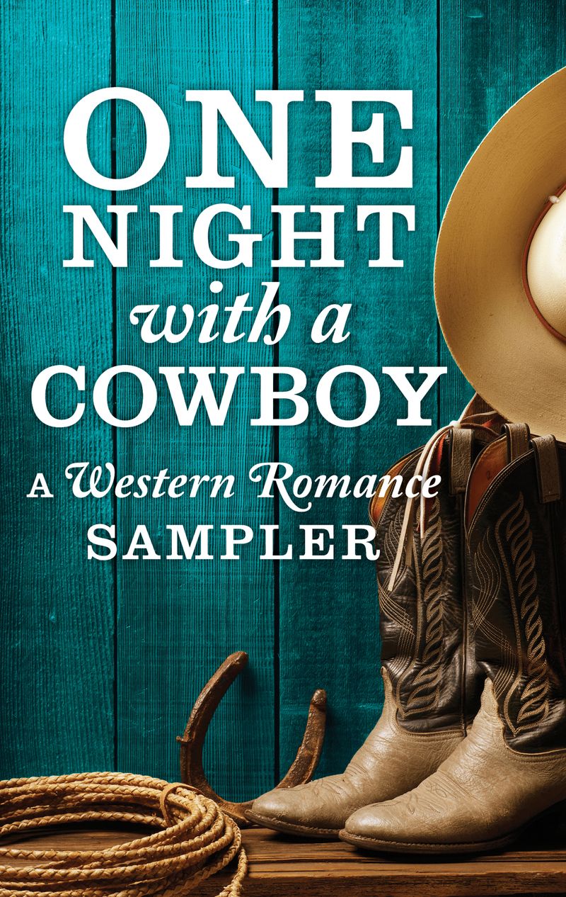 One Night with a Cowboy: A Western Romance Sampler
