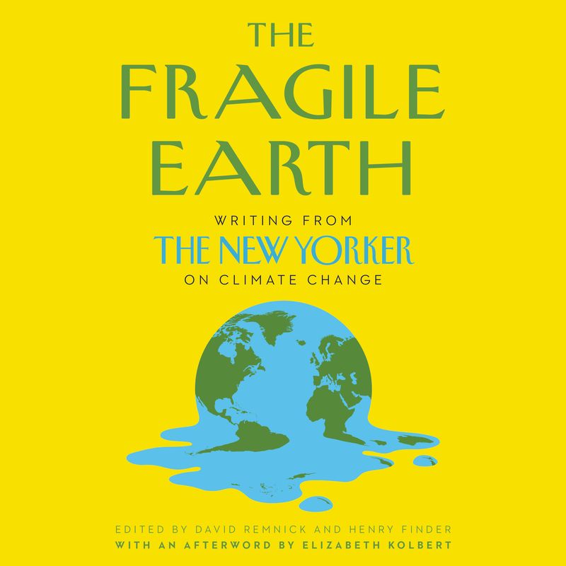 The Fragile Earth