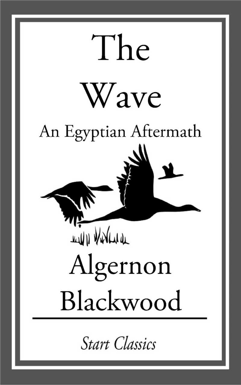 The Wave: An Egyptian Aftermath