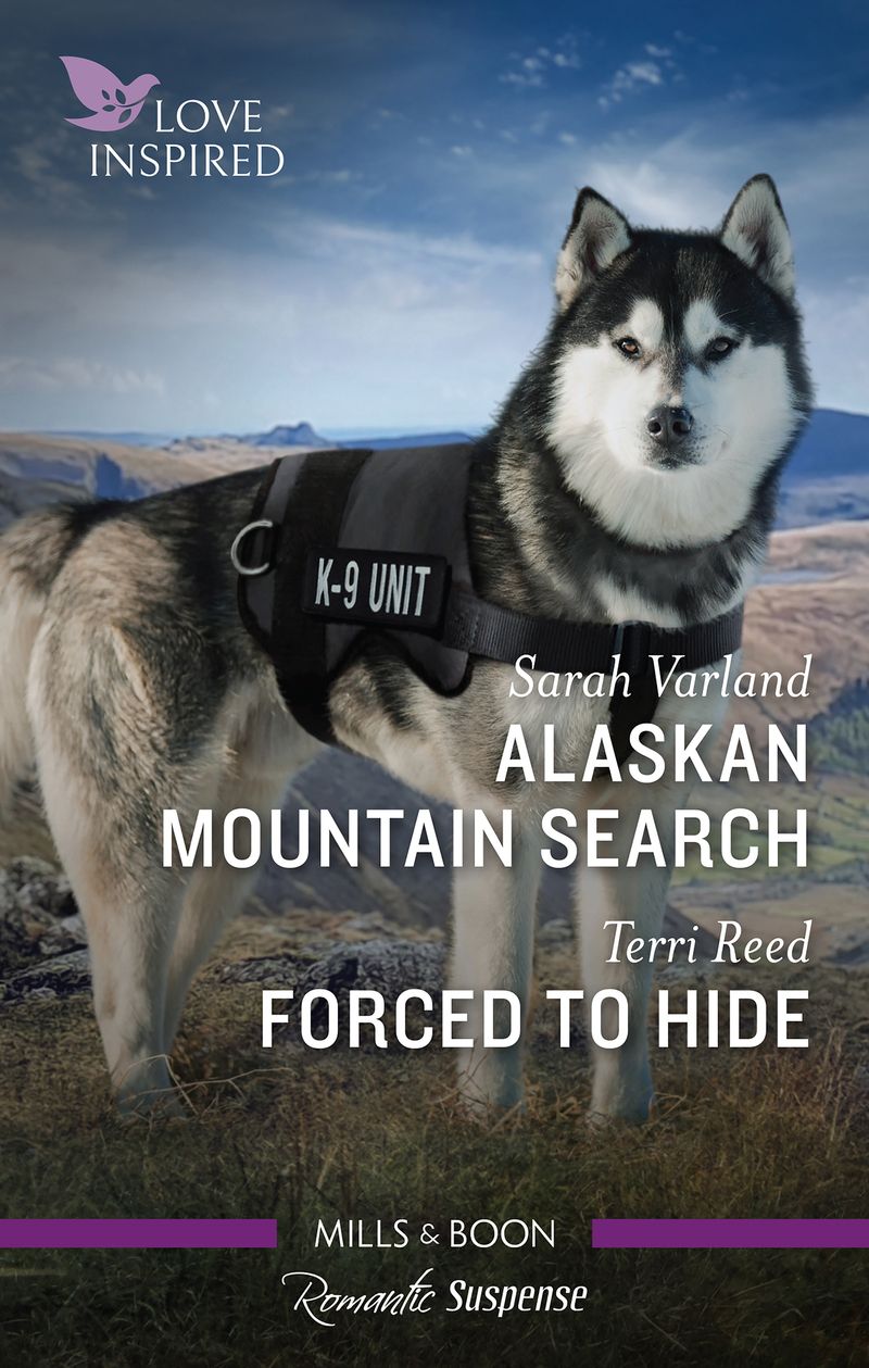 Alaskan Mountain Search/Forced to Hide