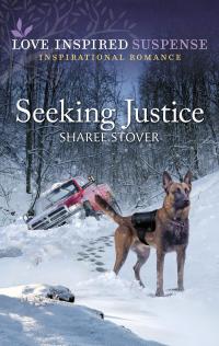 Seeking Justice