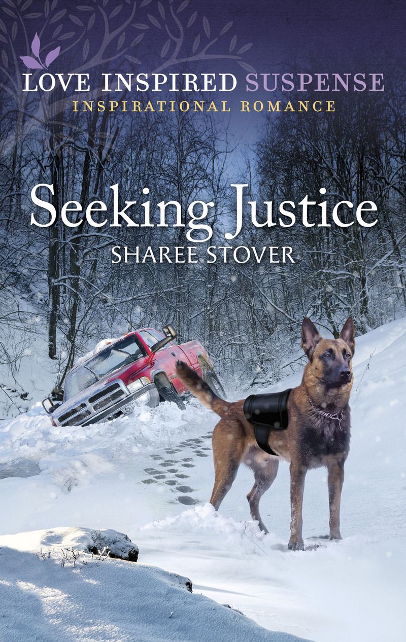 Seeking Justice