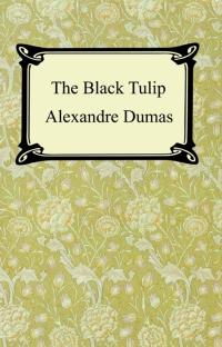 The Black Tulip