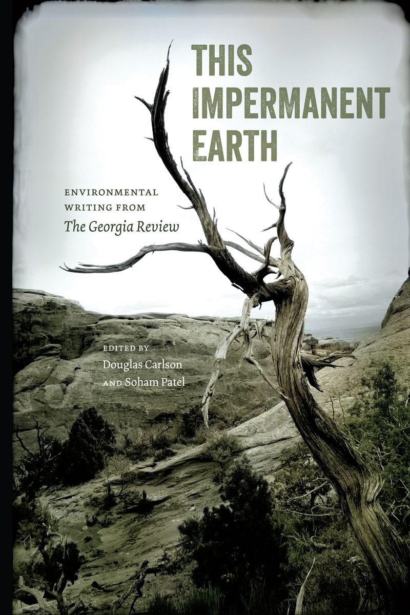 This Impermanent Earth