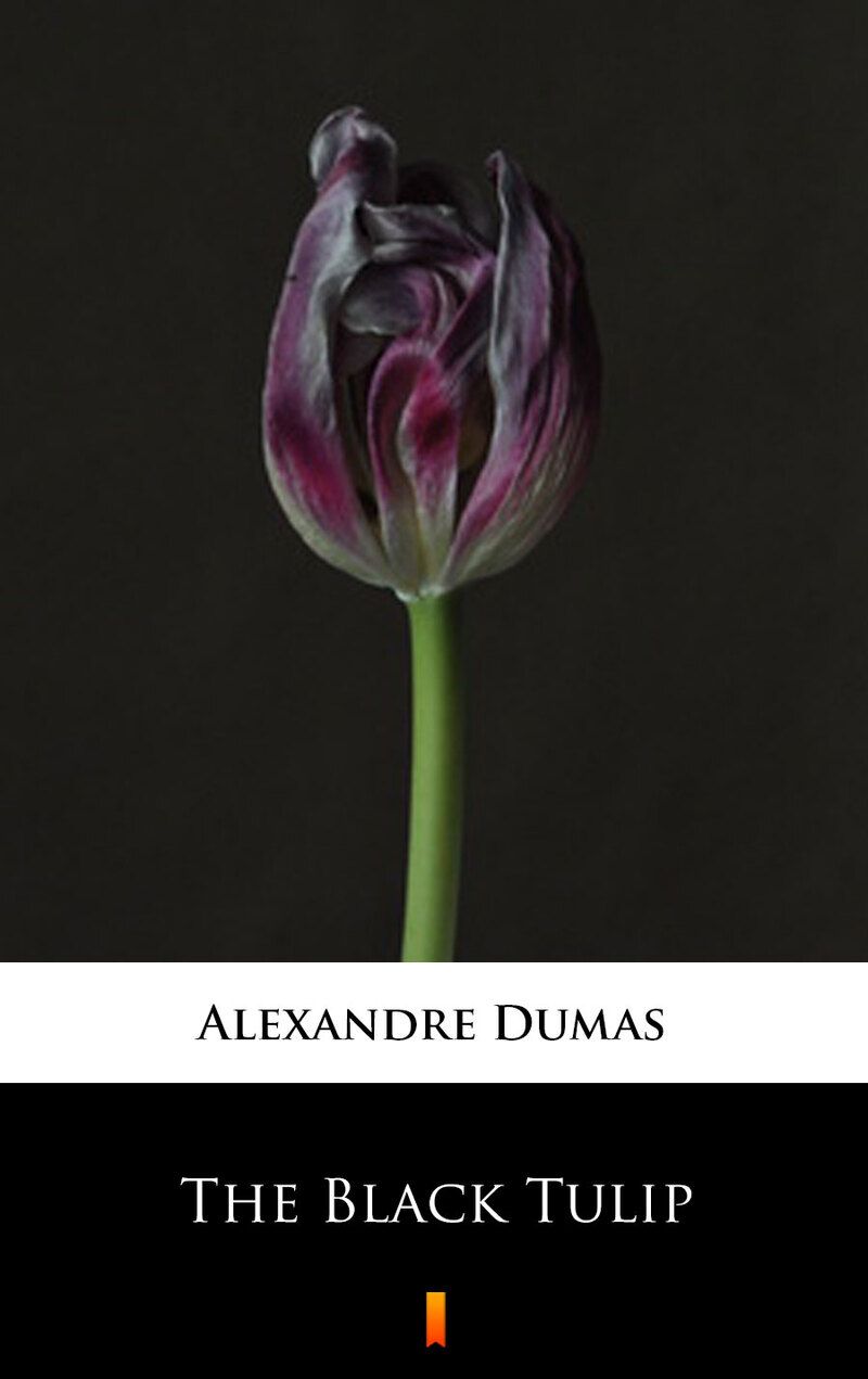 The Black Tulip