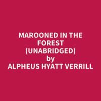 Marooned in the Forest (Unabridged)