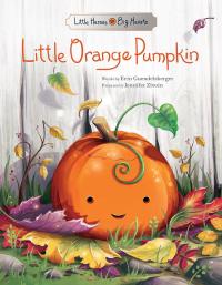 Little Orange Pumpkin